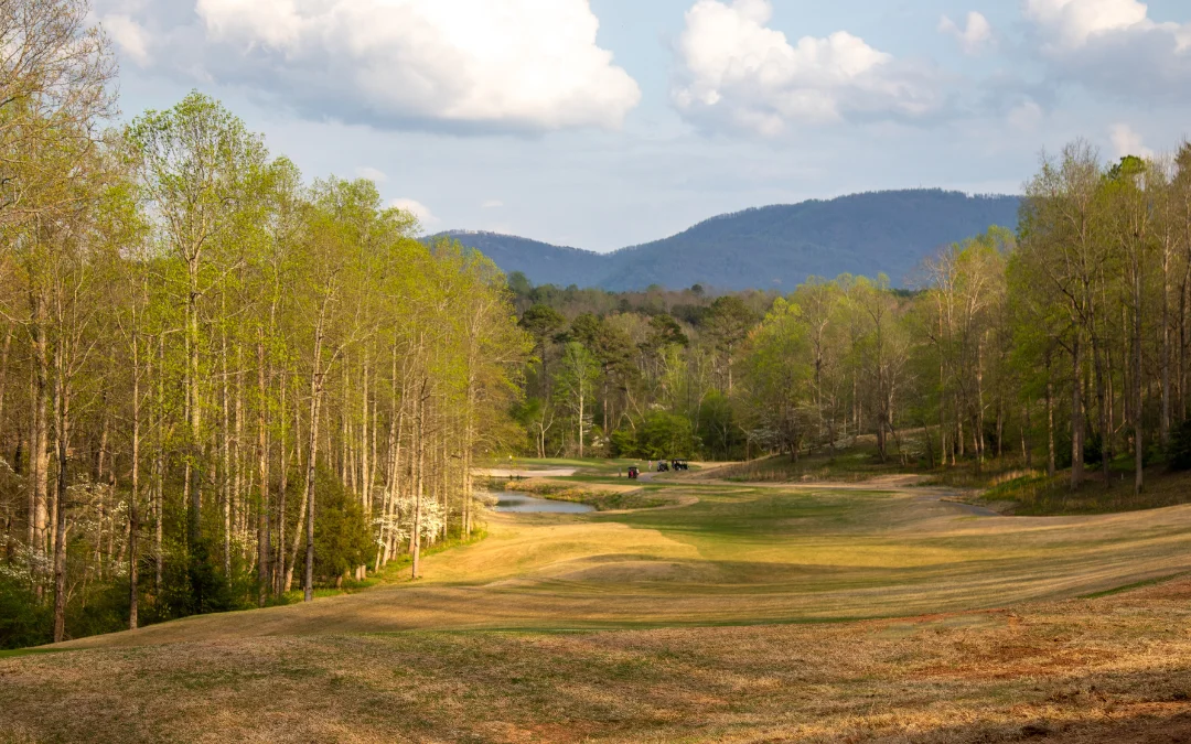 Par 3 Tournament Results!